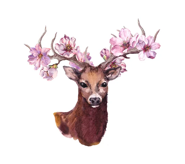 Cabeza de animal de ciervo con flores de flor de cerezo de primavera rosa en cuernos. Acuarela — Foto de Stock