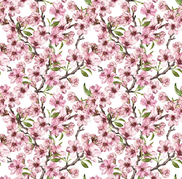 Frühlingsblumen blühen Sakura, Kirsche, Apfel. Florales nahtloses Muster. Aquarell — Stockfoto