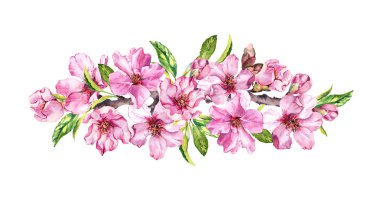 Bahar zamanı çiçeklenme kompozisyon. Şeftali, badem, Erik, kiraz, sakura çiçek, pembe elma çiçeği. Nazik suluboya