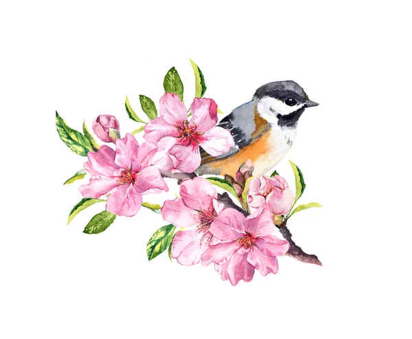 Uccello primaverile su ramo fiorito con fiori rosa di ciliegia, sakura, mela, fiori di mandorlo. Acquerello — Foto Stock