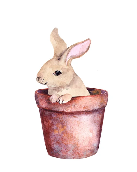 Kleines süßes Kaninchen in einem Blumentopf. entzückendes Aquarell, Osterhase — Stockfoto