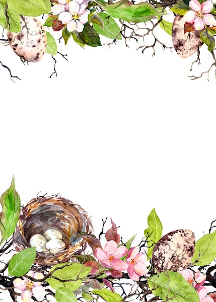 Pisanki, gniazdo, trawy i różowe kwiaty. Akwarela kartka Wielkanocna — Zdjęcie stockowe