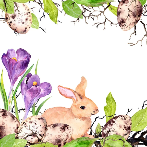 Conejo de Pascua con huevos de colores, hierba, flores de cocodrilo. Tarjeta de Pascua acuarela — Foto de Stock