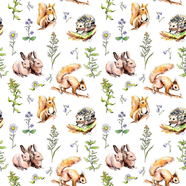 Animali di foresta - conigli, volpe, scoiattolo, riccio in erba e fiori. Schema senza soluzione di continuità. Acquerello — Foto Stock