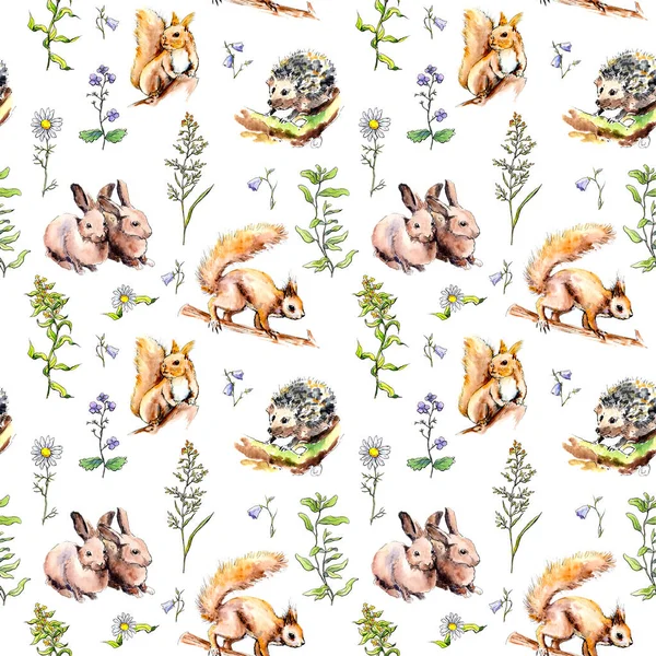 Forest animals - rabbits, fox, squirrel, hedgehog in grass and flowers. Seamless pattern. Watercolor