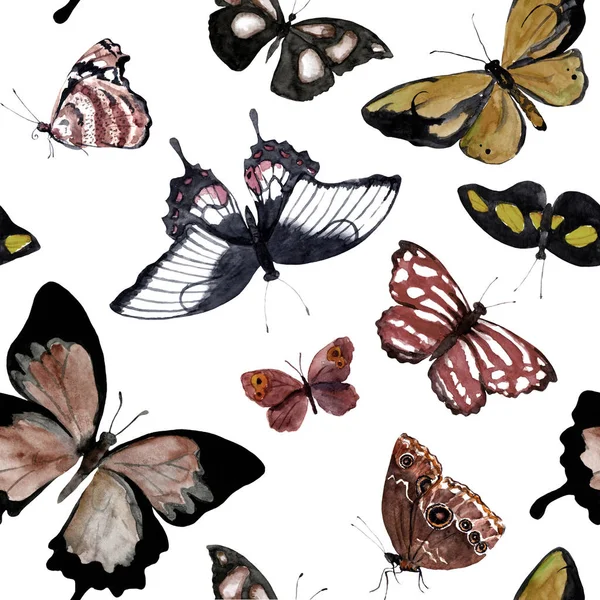 Vlinders. Naadloze achtergrond met vlinder. Aquarel in monochrome kleur — Stockfoto