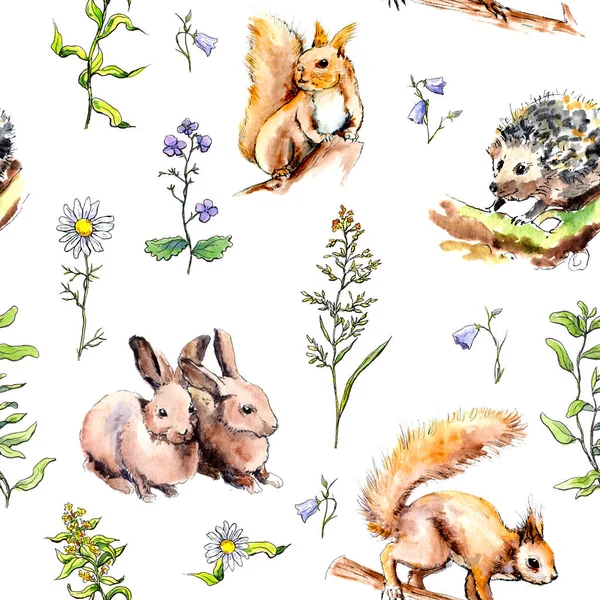 Zwierzęta leśne-króliki, Lisa, wiewiórka, Jeż w trawie i kwiatach. Bezszwowy wzór. Akwarela — Zdjęcie stockowe