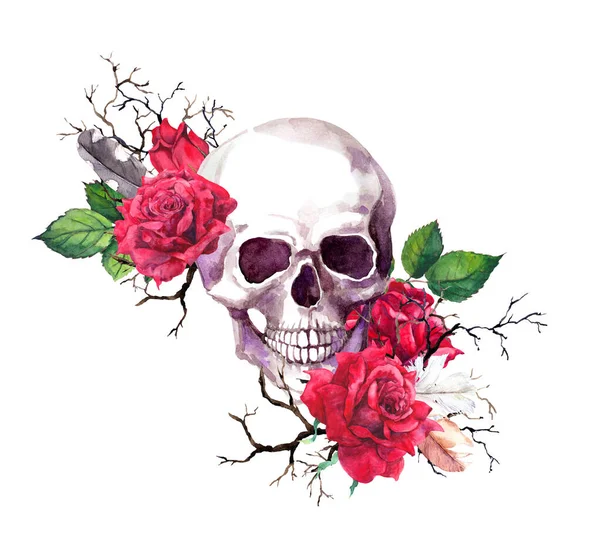Emberi koponya piros rózsa virágok, ágak. Akvarell — Stock Fotó
