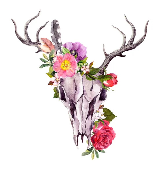 Szarvas állati koponya virágokkal, tollakkal. Akvarell — Stock Fotó