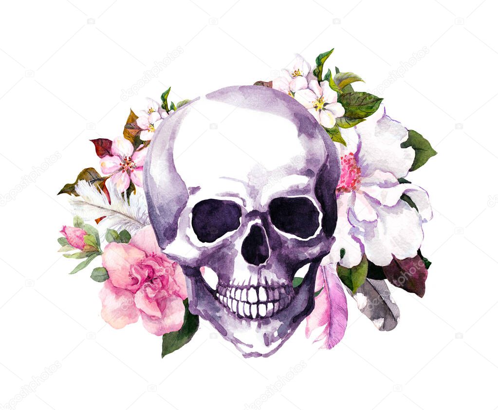 Human skull with flowers, feathers. Watercolor in boho style for tattoo, stiker