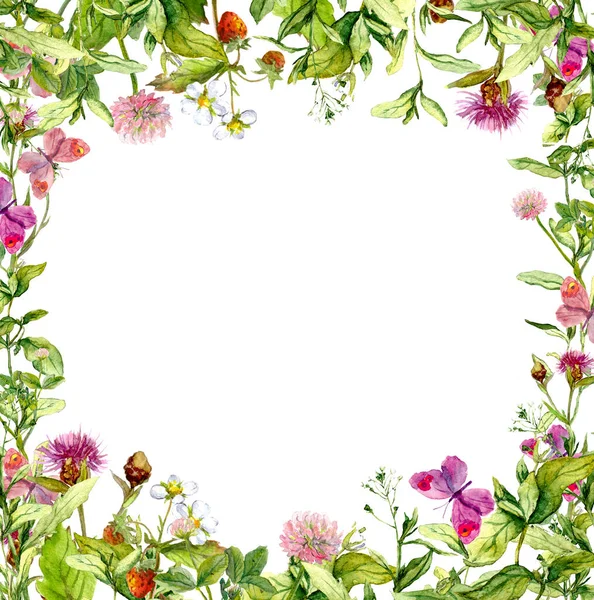 Vlinders in weidegras. Bloemen aquarel frame — Stockfoto