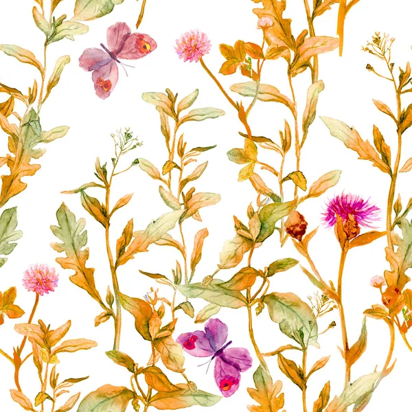 Őszi rét, préri. Virágcserjék, virágok. Vintage varrat nélküli térbeli minta. Akvarell — Stock Fotó