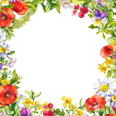 Çiçekli kare çiçek kartı, çayır çimeni. Suluboya çerçeve, sınır, gelincikli boş, papatya çayı