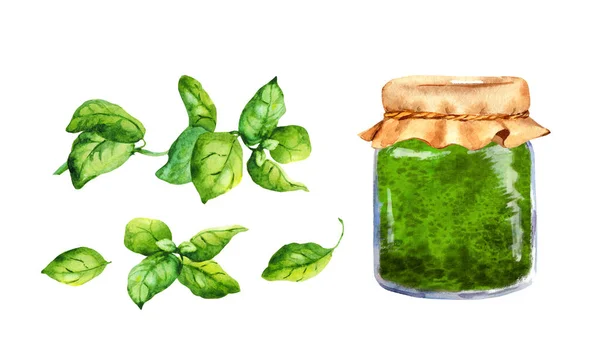 Set pour Basil Pesto maison dans un bocal en verre. Aquarelle collection alimentaire — Photo