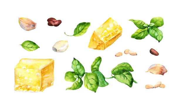 Conjunto de ingredientes para la salsa de pesto de albahaca - frasco de vidrio, hojas de albahaca verde, ajo, queso, piñones. Acuarela colección de alimentos — Foto de Stock