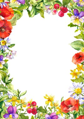 Çiçek kartı için botanik çizimi. Tarla çiçekleri, çayır çimenleri. Suluboya çerçeve, sınır, boşluk