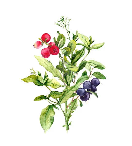 Bouquet bunga lapangan, buah beri, herbal, rumput. Warna air botani — Stok Foto