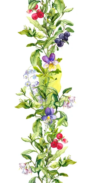 Virágos határ - mezei virágok, nyári bogyók, gyógynövények, rét fű. Botanikus akvarell. Ismételt keret — Stock Fotó