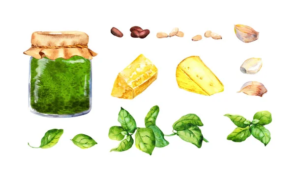 Set per salsa al pesto di basilico: vaso, foglie di basilico fresco, aglio, formaggio, pinoli. Acquerello collezione di alimenti — Foto Stock