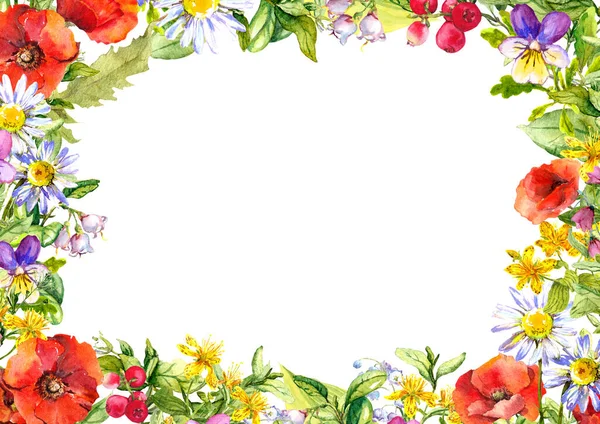 Schmetterlinge, Zierblumen und Wiesengras. Florale Karte. Sommerrahmen in Aquarell — Stockfoto