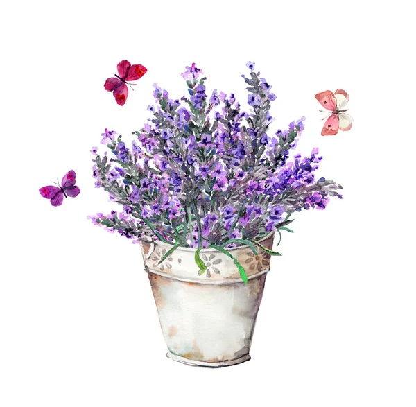 Vacker gammal burk med lavendelblommor och fjärilar. Akvarell bild för vintage kort i provencal stil — Stockfoto