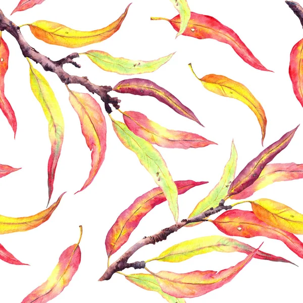 Folhas vermelhas e amarelas, ramos de outono. Abstrato padrão sem costura natural, aquarela — Fotografia de Stock