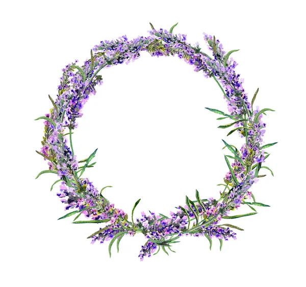 ラベンダーの花の花輪。水彩花丸枠 — ストック写真