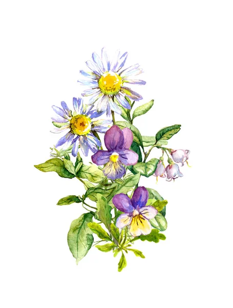 Buquê de verão de flores silvestres - camomila, pantanoso, grama de prado. Ilustração aquarela — Fotografia de Stock