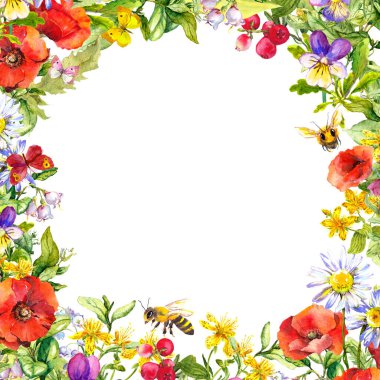 Dekoratif çiçekler, yabani otlar. Çiçek kartı, elle boyanmış çizimler. Suluboya yaz çerçevesi