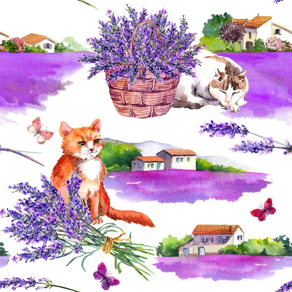 Kediler, sepetteki lavanta çiçekleri, buket ve yaz kelebekleri. Arka plandaki kır evlerinde, mor çiçek tarlalarında. Suluboya kusursuz desen — Stok fotoğraf