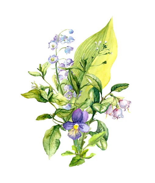 Bir buket tarla çiçeği, yaz otları, yabani otlar. Botanik suluboya çizimi — Stok fotoğraf