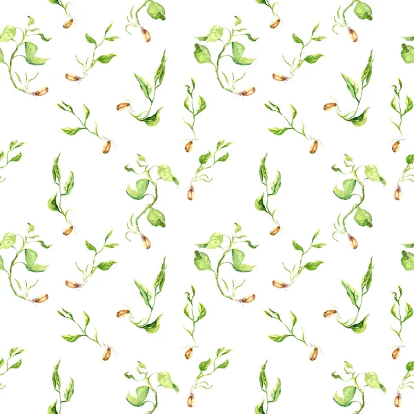 Молоді паростки з зеленим листям, насіння з гілочками. Безшовний природний фон. Акварель — стокове фото