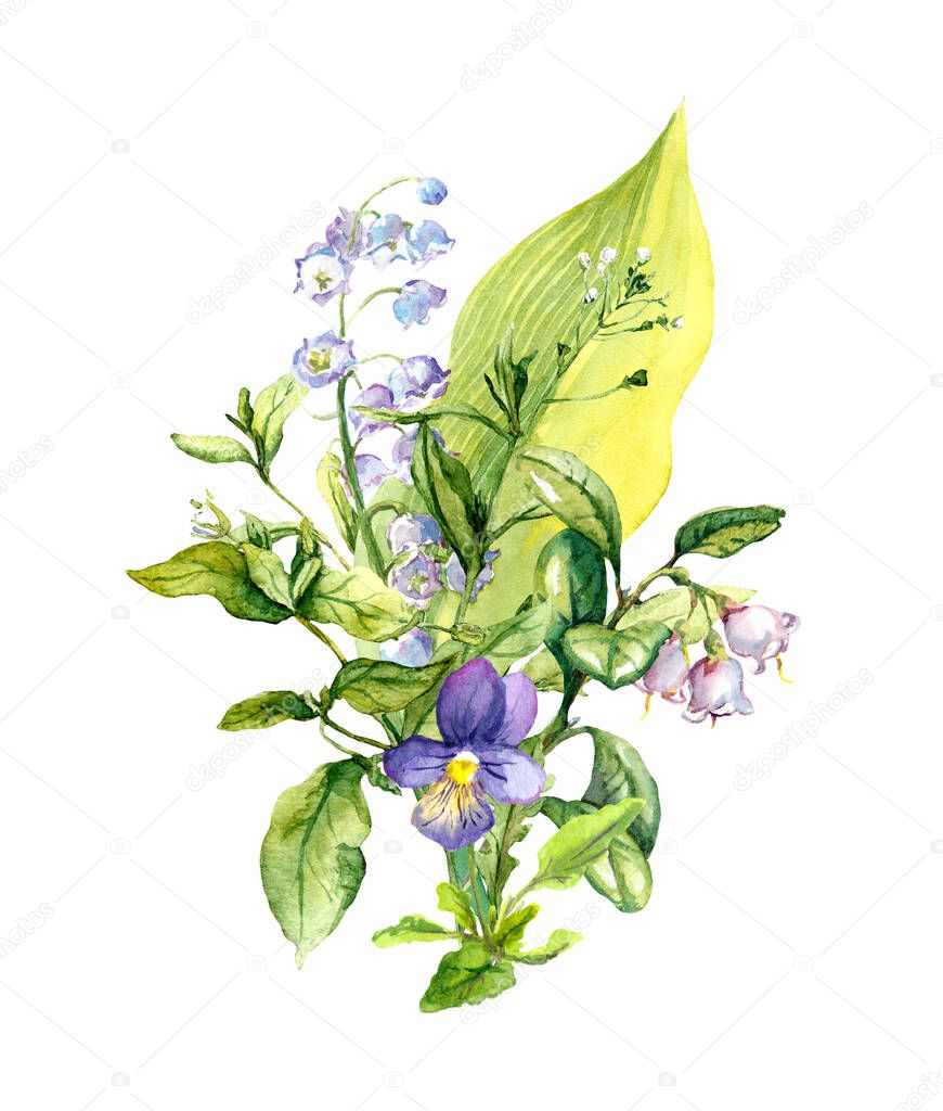 Bouquet of field flowers, summer herbs, wild grass. Botanical watercolor illustration