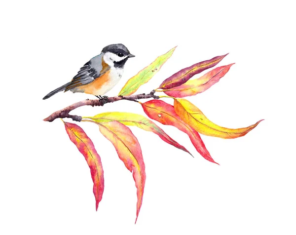 秋天的叶子和鸟儿一起挂在树枝上.水的颜色 — 图库照片