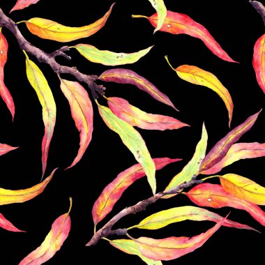 Kırmızı ve sarı yapraklar ve sonbahar dalları. Dekoratif doğal, pürüzsüz desen, siyah arkaplanda çiçek suluboya.