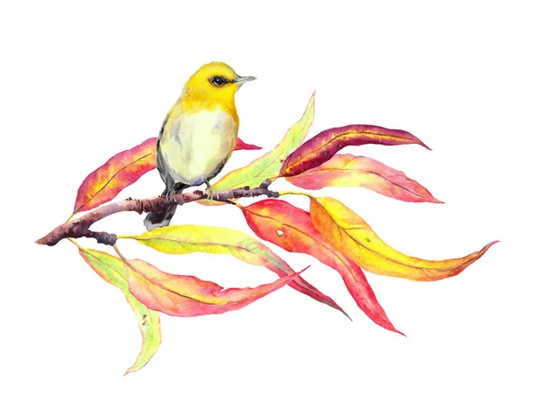 Bird at autumn branch with red and yellow leaves. Watercolor — Stock Photo, Image