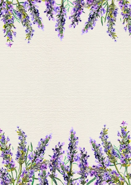 Lavender flowers. Watercolor border stripe, floral card — Stock Photo, Image