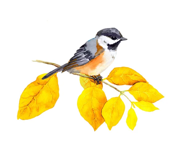 Ptak na jesiennej gałęzi z abstrakcyjnymi żółtymi liśćmi. Akwarela — Zdjęcie stockowe