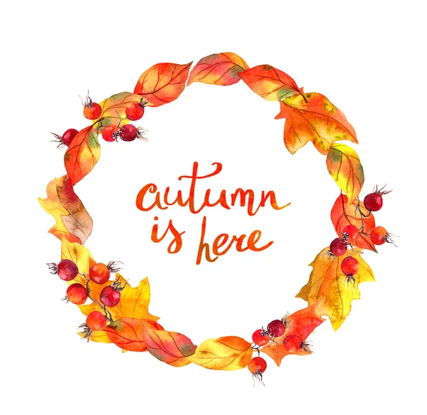 秋の葉と果実。ラウンド花輪、テキスト秋はここにあります。水彩画 — ストック写真