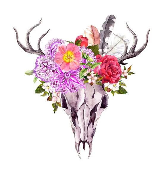 Crâne d'animal de cerf avec des fleurs, motif ethnique orné, plumes. Aquarelle dans un style vintage — Photo
