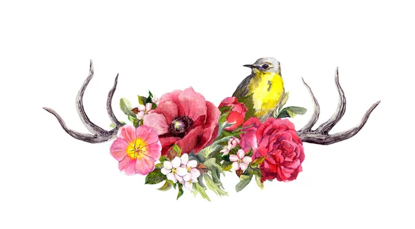 Çiçekli geyik boynuzları, kuş. Eski tarzda suluboya — Stok fotoğraf