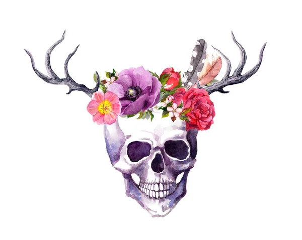 Calavera humana con cuernos de ciervo, flores, plumas en estilo boho vintage. Acuarela para el día de la muerte — Foto de Stock