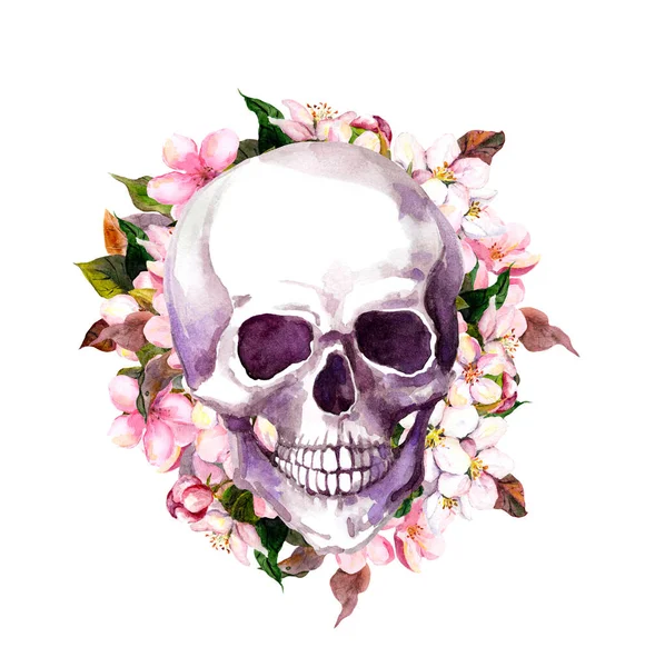 Людський череп у вишневому цвіті, квіти сакури. Акварель вінтажний — стокове фото