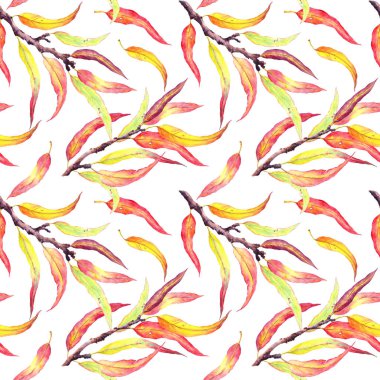 Dallarda sonbahar yaprakları. Doğal, pürüzsüz desen, suluboya duvar kağıdı.