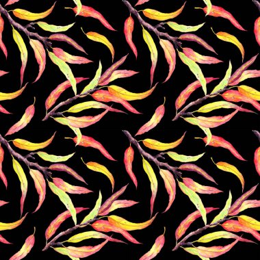 Dallarda sonbahar yaprakları. Soyut çiçek deseni, siyah arkaplanda su rengi