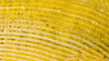 Sarı boyalı beton zemin