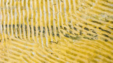 Sarı boyalı beton zemin