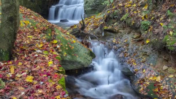 晩秋の中国山呂滝および流れ自然景観のタイムラプス映像 — ストック動画