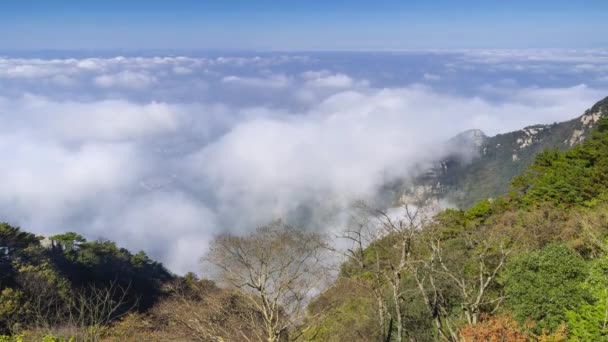 Timelapse Imágenes China Montaña Mar Nubes Paisaje Finales Otoño — Vídeos de Stock