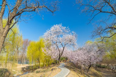 Erken baharda Pekin Yaz Sarayı manzara